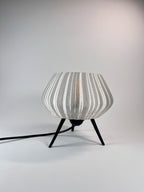 RAYNARA TABLE LAMP